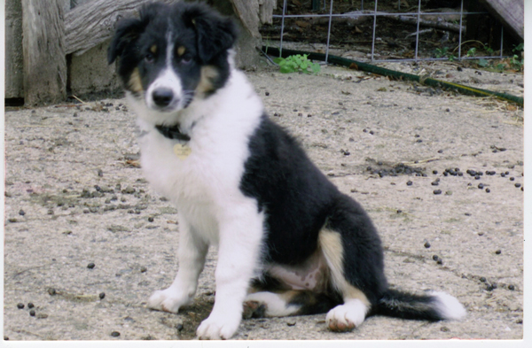 4 months old